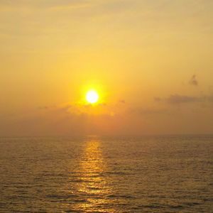 Meet your Posher, Jim